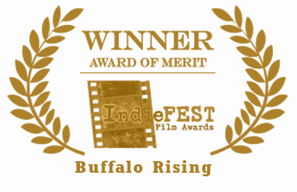 Award_BR_IndieFest_2015