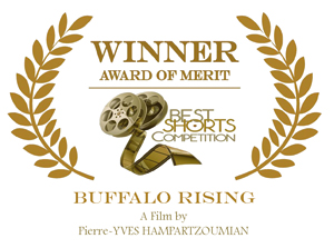 Award_Buffalo-Rising_small