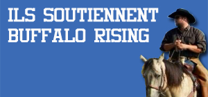 Supports to Buffalo Rising